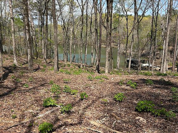 3rd image of LOT-25A Lakeview Dr