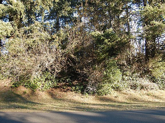 3rd image of 540 Mount Olympus Ave SE