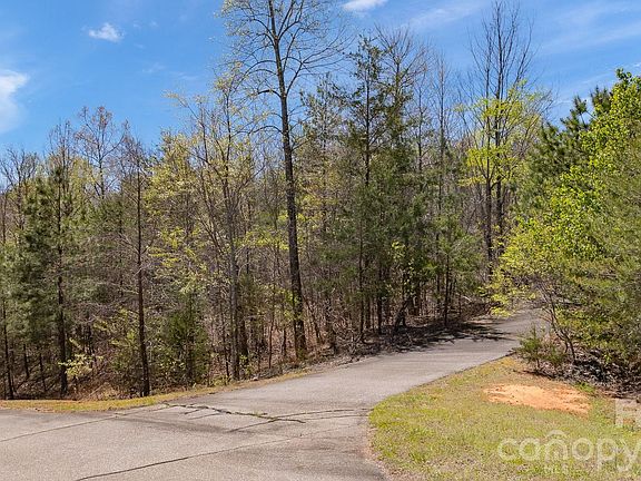 3rd image of Jobes Trl #29