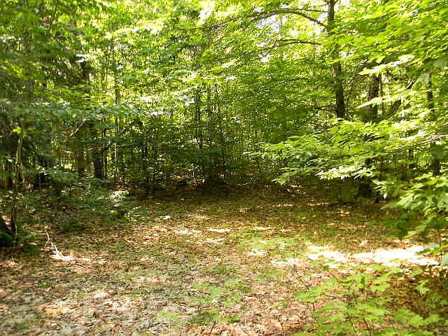 1st image of 16827 County Road 414