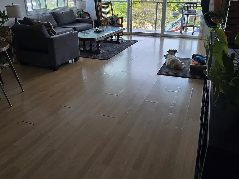 2374 Chalcedony St — Photo 1