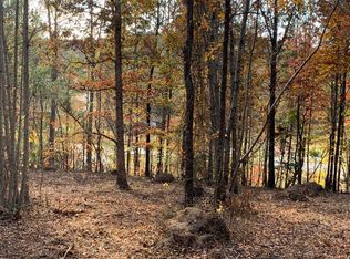 3866 Highway 382 W, Ellijay, GA 30540