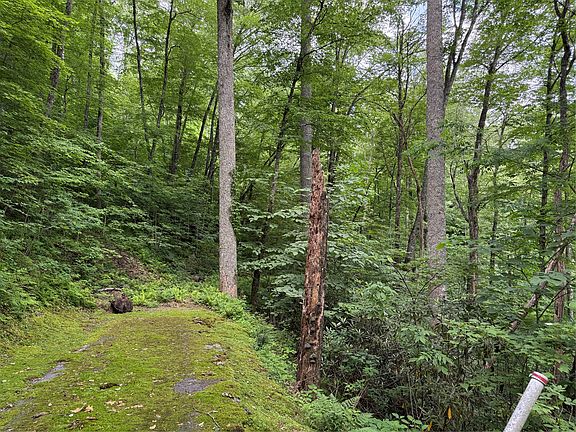 3rd image of lot 45 Greycliff Mountain Drive