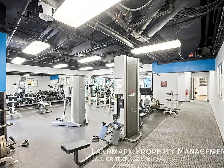 10 E Ontario St #4908 — Photo 34