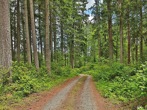 Follow the winding drive through the woods to this lovely home.
