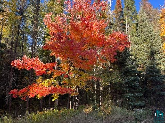 1st image of TBD Lost Lake Rd