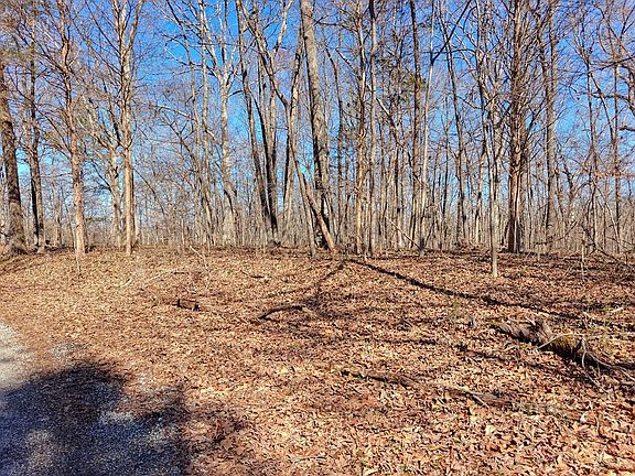 5th image of 0 Sykes Branch Rd