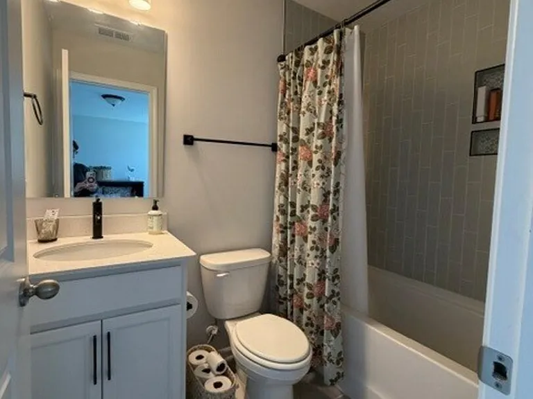 Green Fern Dr — Photo 18