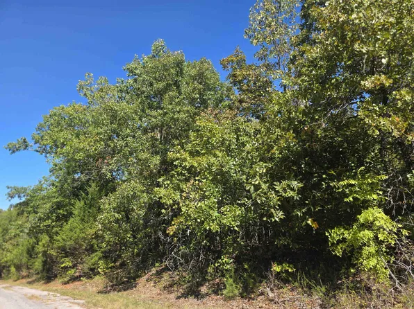 1106 Michigan Ave, Horseshoe Bend, AR 72512