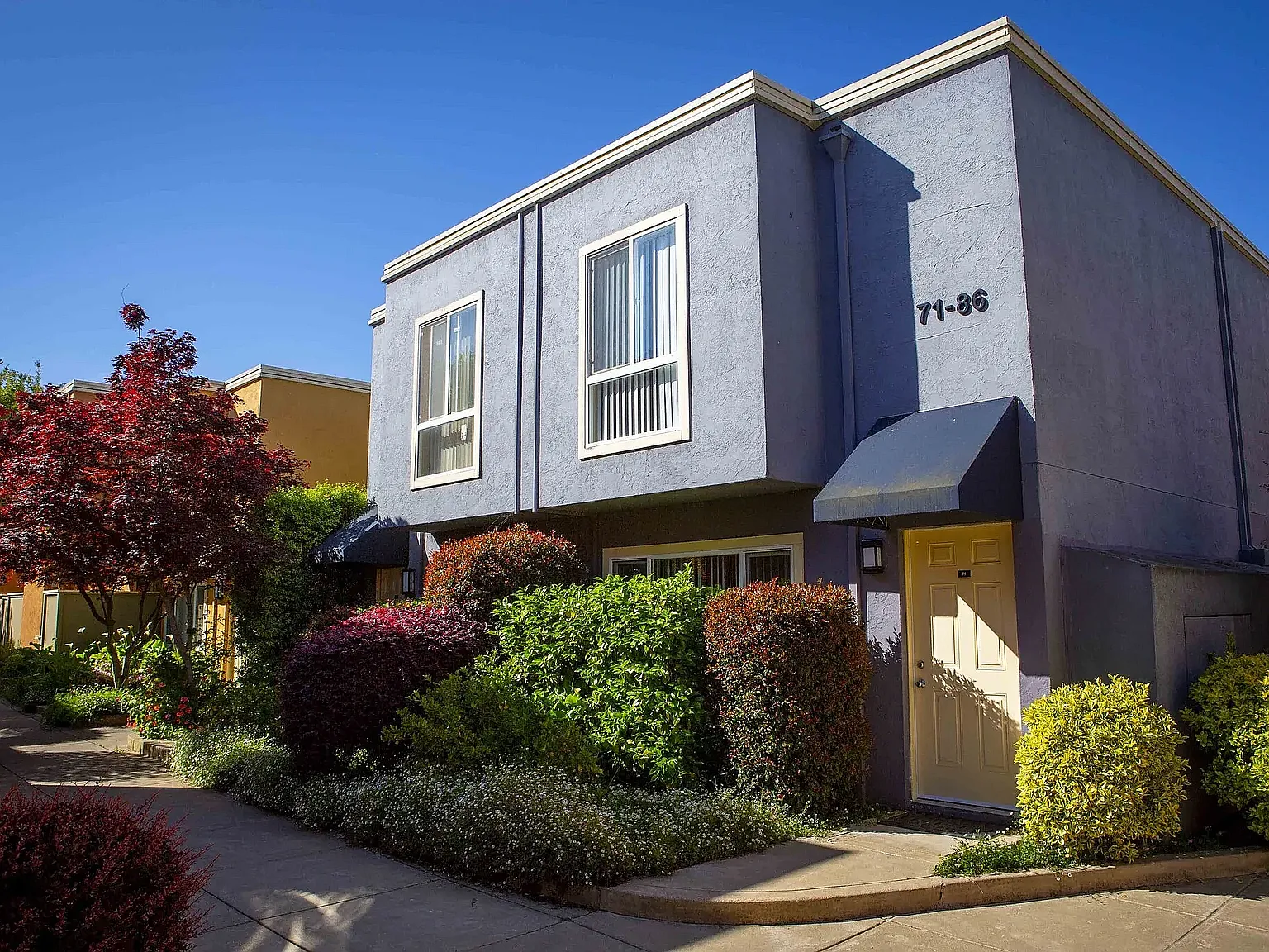 Palm Terrace Condominium Rentals — Photo 2