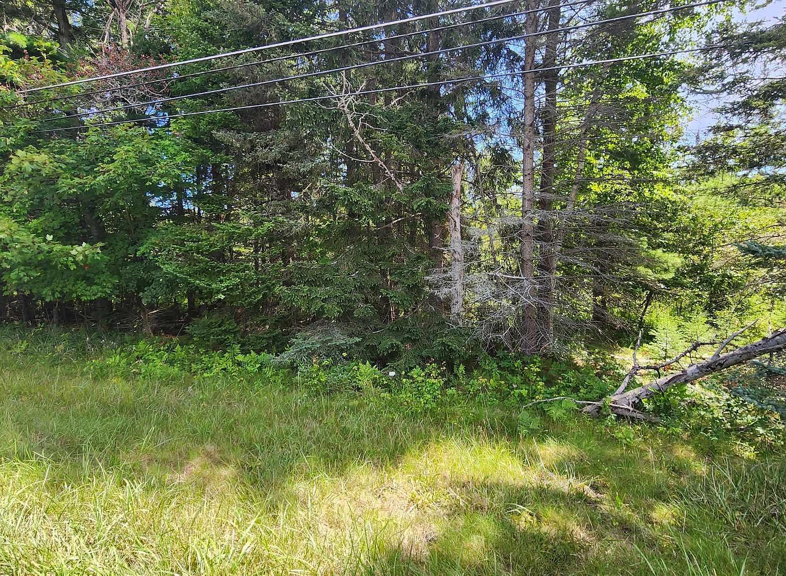 23 Us, Harrisville, MI 48740 Zillow
