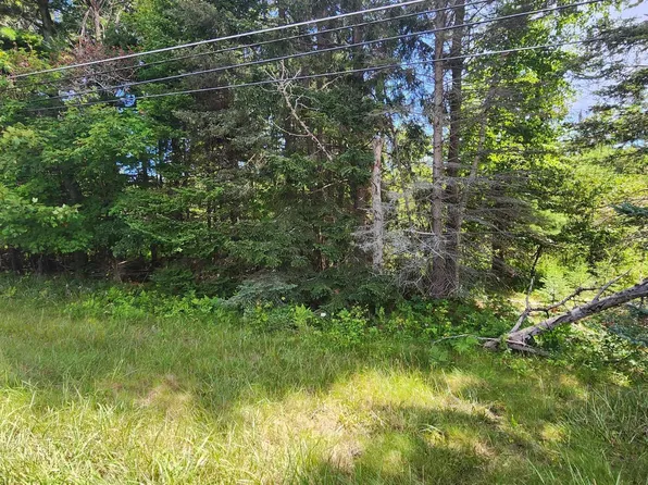 23 Us, Harrisville, MI 48740