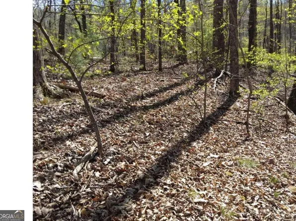 M99 Sleepy Hollow Rd Lot M99, Ellijay, GA 30536