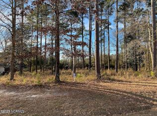 206 Sanderling Ln, New Bern, NC 28562