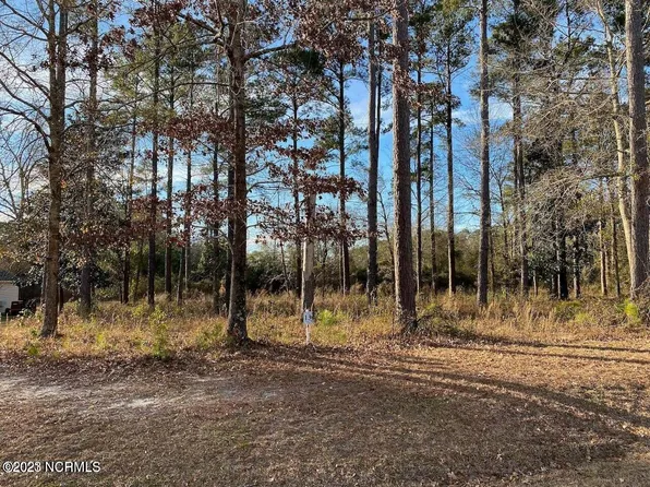 206 Sanderling Lane, New Bern, NC 28562