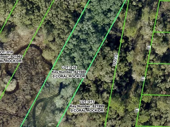 34063 Coral Rock Dr Lot 16, Webster, FL 33597