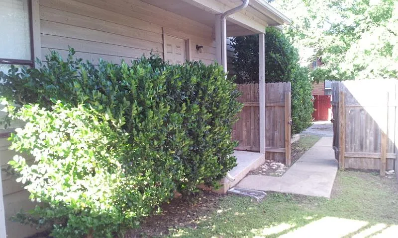 2 bed, 1.5 bath, 1000 sqft, $1,195 — Photo 3