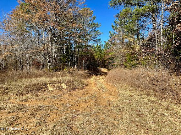 Lake Rd, Duck Hill, MS 38925 | MLS #4065717 | Zillow