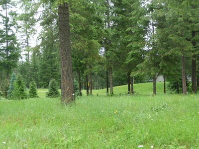 Palmer Ln, Chewelah, WA, 99109