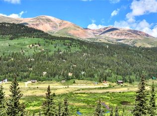 1906 County Road 4, Alma, CO 80420