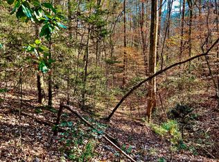 14&15 Upper Pond Rd, Ellijay, GA 30540