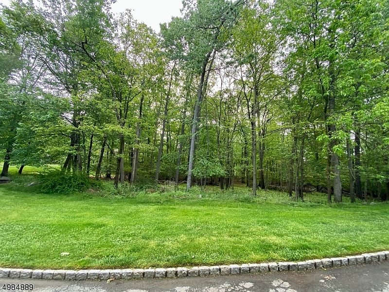 2nd image of 100 Stonehedge Ln