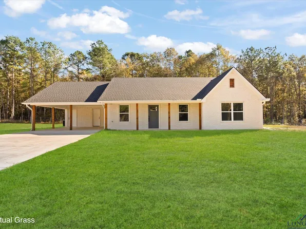 1725 Deanna Rd, Diana, TX 75640