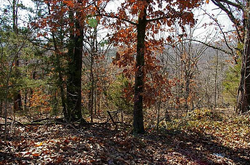 1st image of Portland Ln