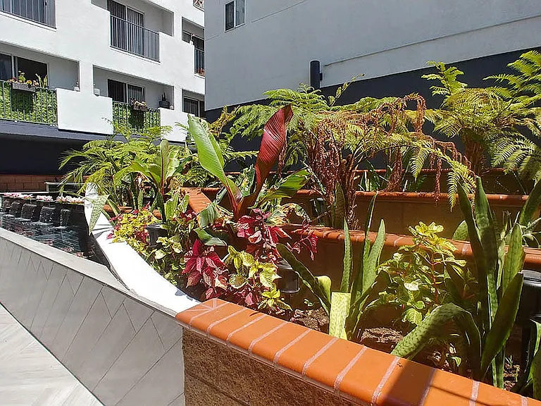 Villa De Adel Apts — Photo 5