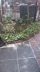 Rented by Location Location Location