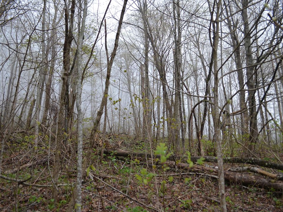 1st image of LOT-46B Dunlukin Dr Unit 46B