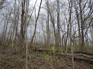 LOT-46B Dunlukin Dr UNIT 46B, Spring City, TN 37381