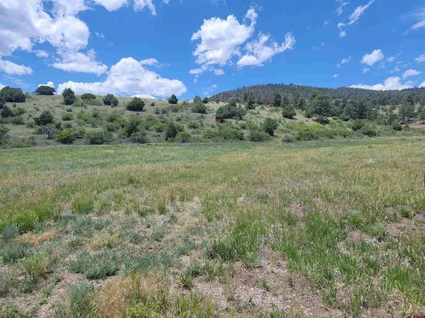 819 Bear Creek Circle, South Fork, CO 81154