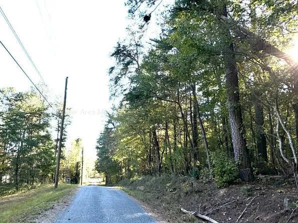 0 County Road 3964, Arley, AL 35541