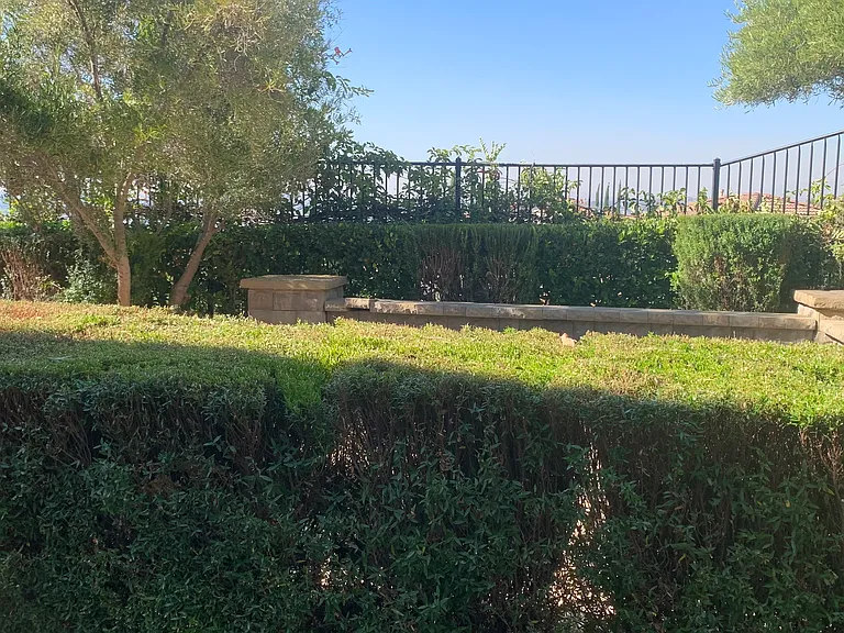 44324 Revana St — Photo 33