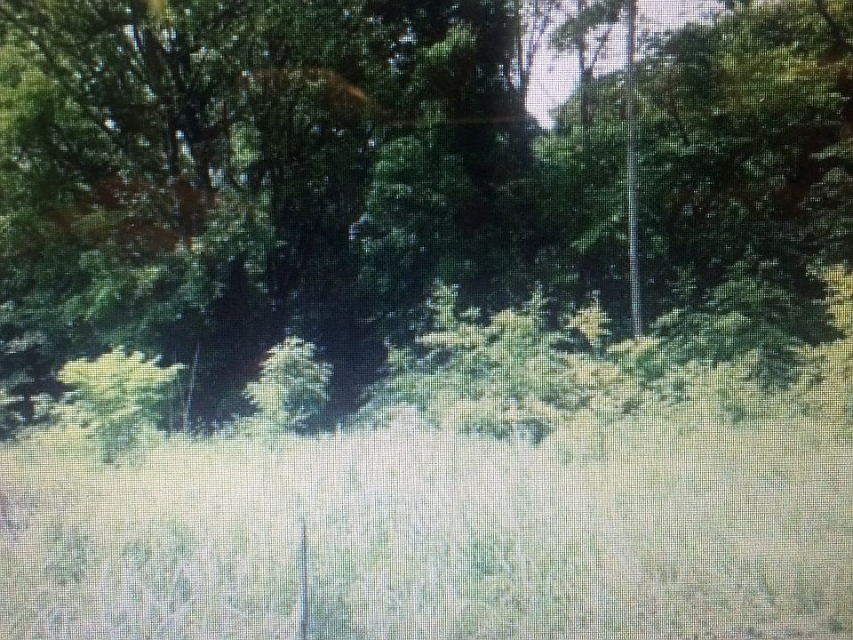 beautiful 2 acre wooded lot