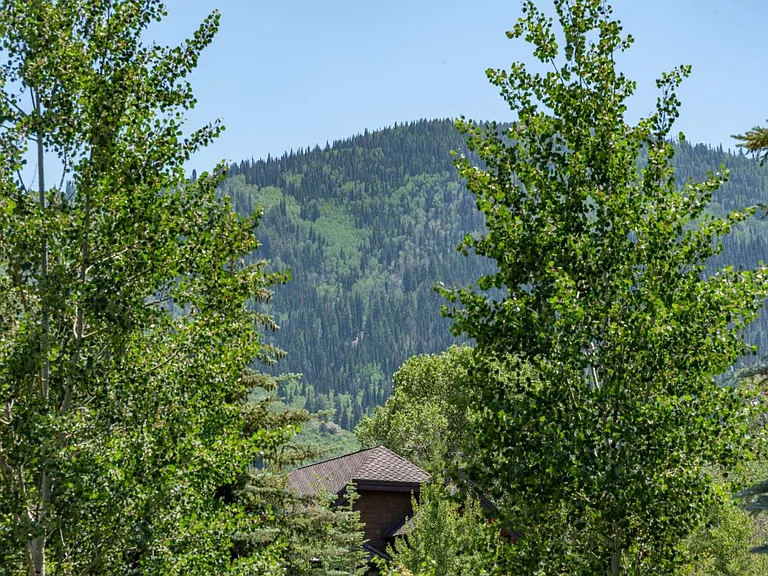 View from the patio!