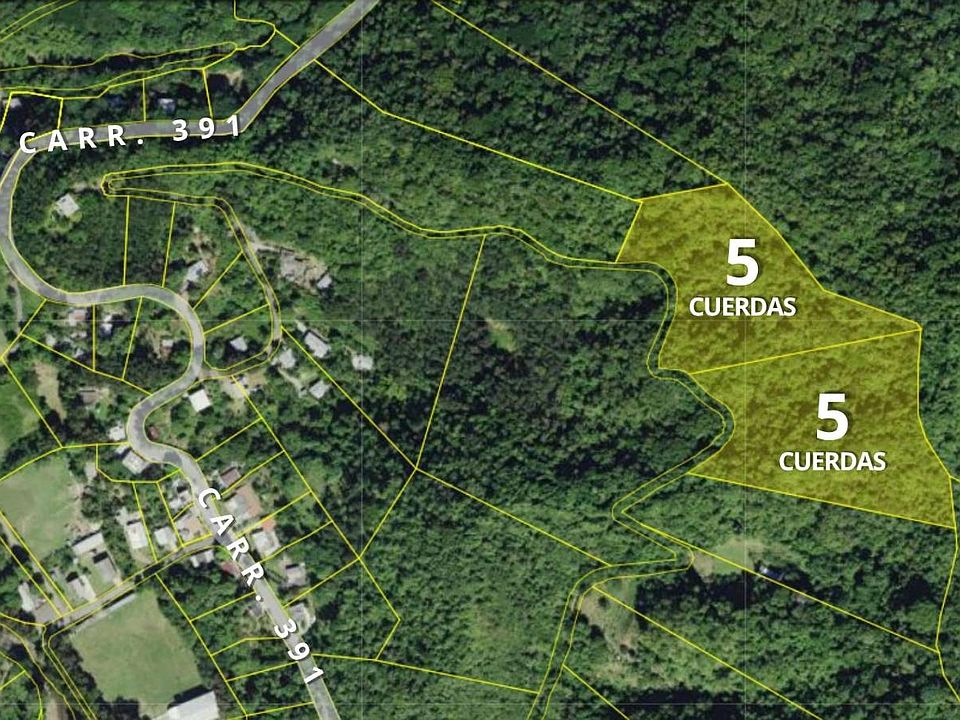 2nd image of State Highway 391 6 Lot 5-Y