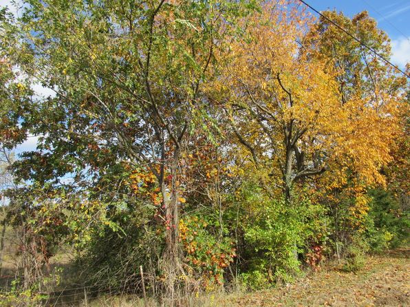 0 W Stevens Ln, Wilmington, IL 60481