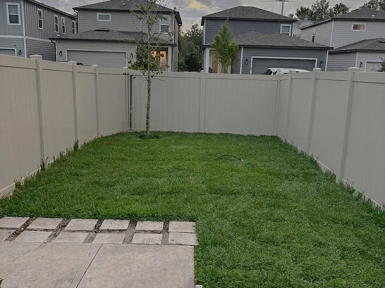 Backyard / Grass
