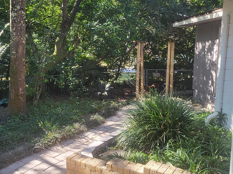 Rear yard/ side gate to driveway