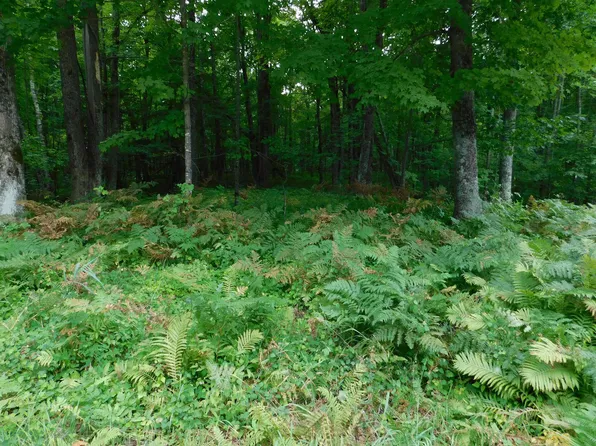 W Shay Lake Ln, Pound, WI 54161