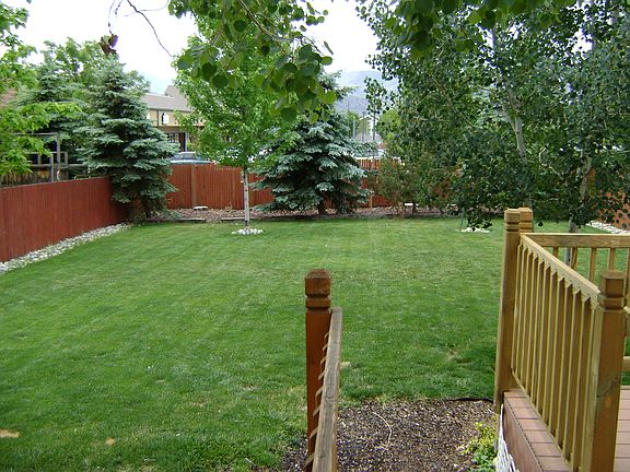 Back yard, looking west