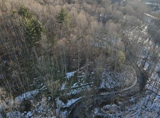 Leonard Long Rd, Renick, WV 24966