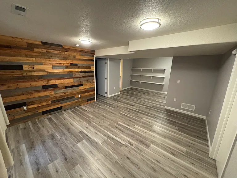 Basement Living Room