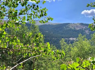 725 Roberts Rd, Alma, CO 80420