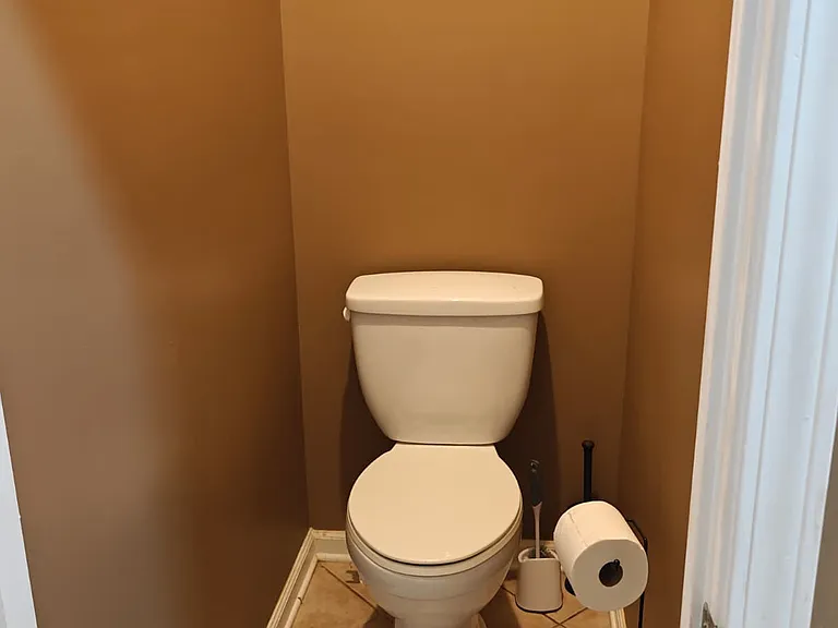 Master Bathroom Toilet (Lower Level)