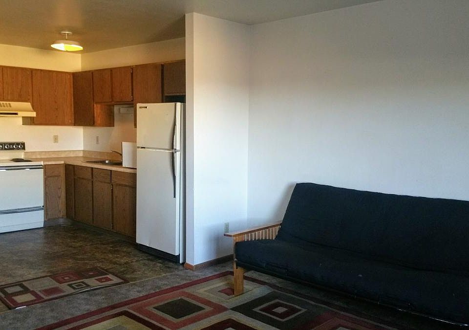 Spacious Living/Kitchen Area