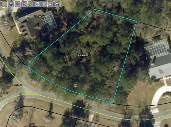 80 Laurel Grove Rd, Brunswick, GA 31523