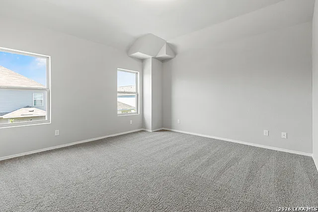 2434 Dry Moss Way — Photo 19